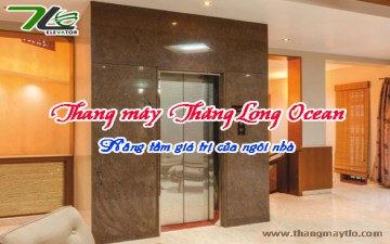 Lắp đặt thang máy gia đình tại Hải Phòng Lắp đặt thang máy gia đình tại Hải Phòng